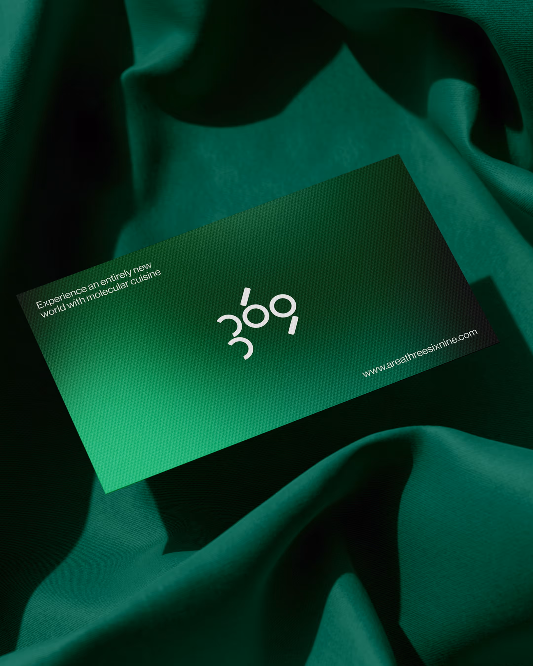AREA 369