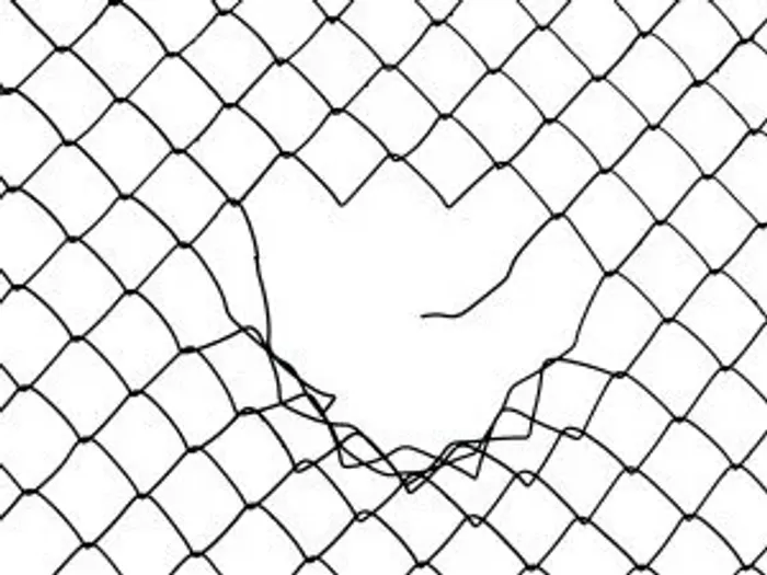 A chain-link fence with a large hole torn through it
