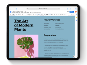 desktop class safari