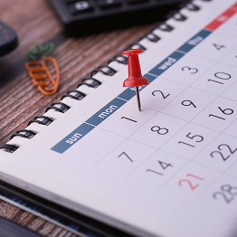 Red pushpin marking the date 1 Monday on a spiral-bound calendar page.
