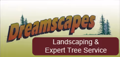 Dreamscapes logo with trees and text: Landscaping & Expert Tree Service.