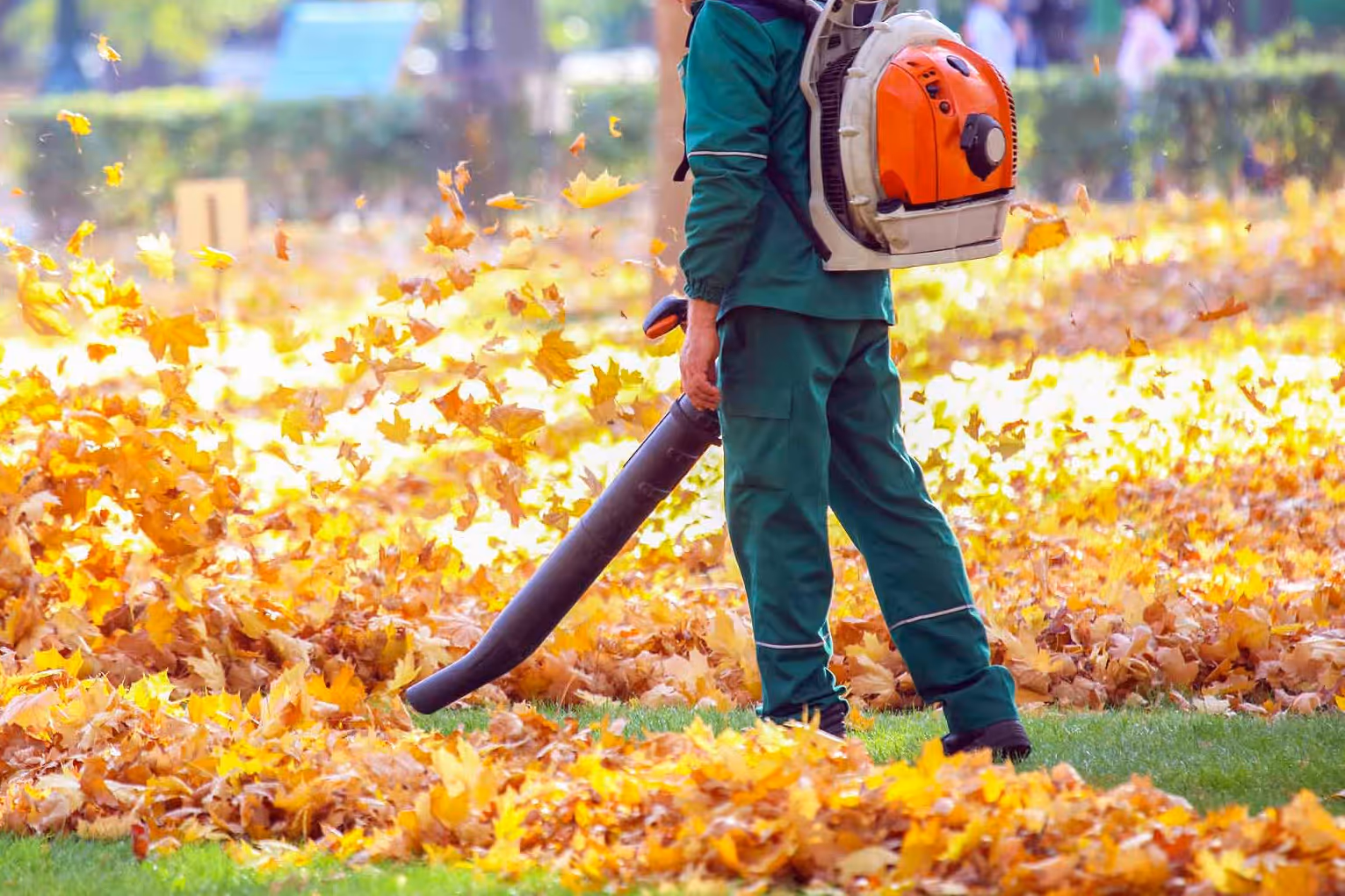Person using a backpack leaf blower to clear fallen autumn leaves from a grassy area.
