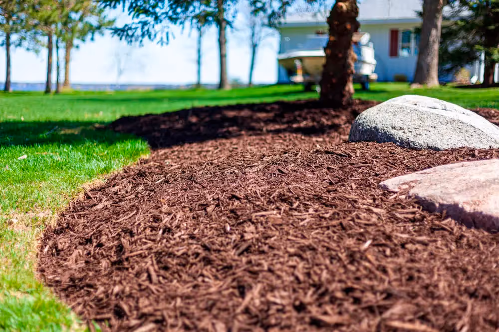 Dark brown mulch spread around trees and rocks in a green lawn on a sunny day.