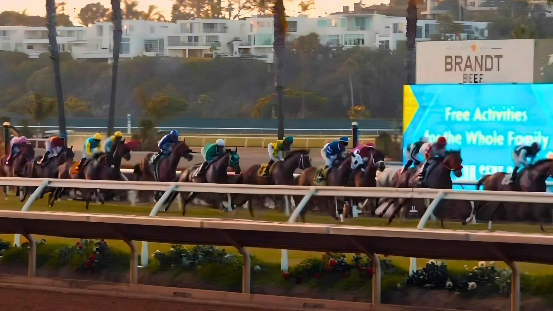 The field running at Del Mar with palm trees and coastal homes behind the backstretch
