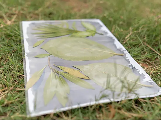 A piece of handmade artwork featuring various leaves arranged artistically across its surface.