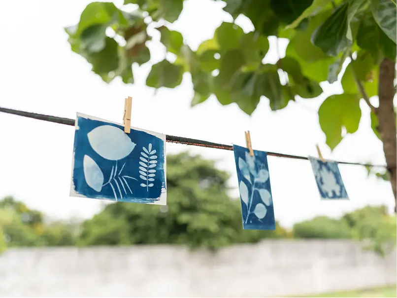 Three blue cyanotype prints with white leaf patterns hang on a clothesline, secured with clothespins. A tree and green foliage are visible in the background.