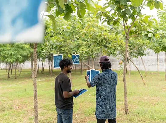 Two people stand among trees, hanging handmade art from branches in a green, outdoor setting.