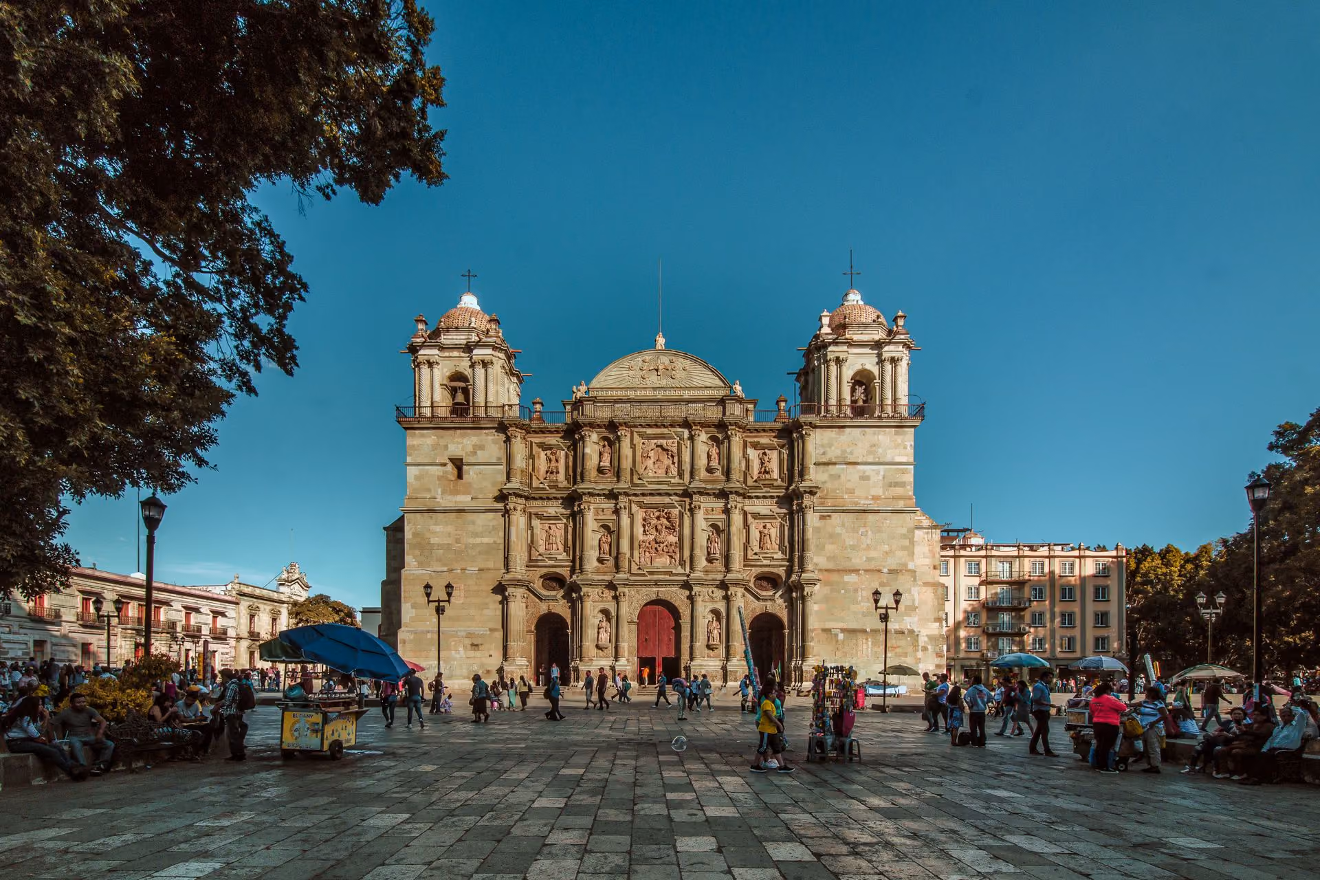cathedral in oaxaca city