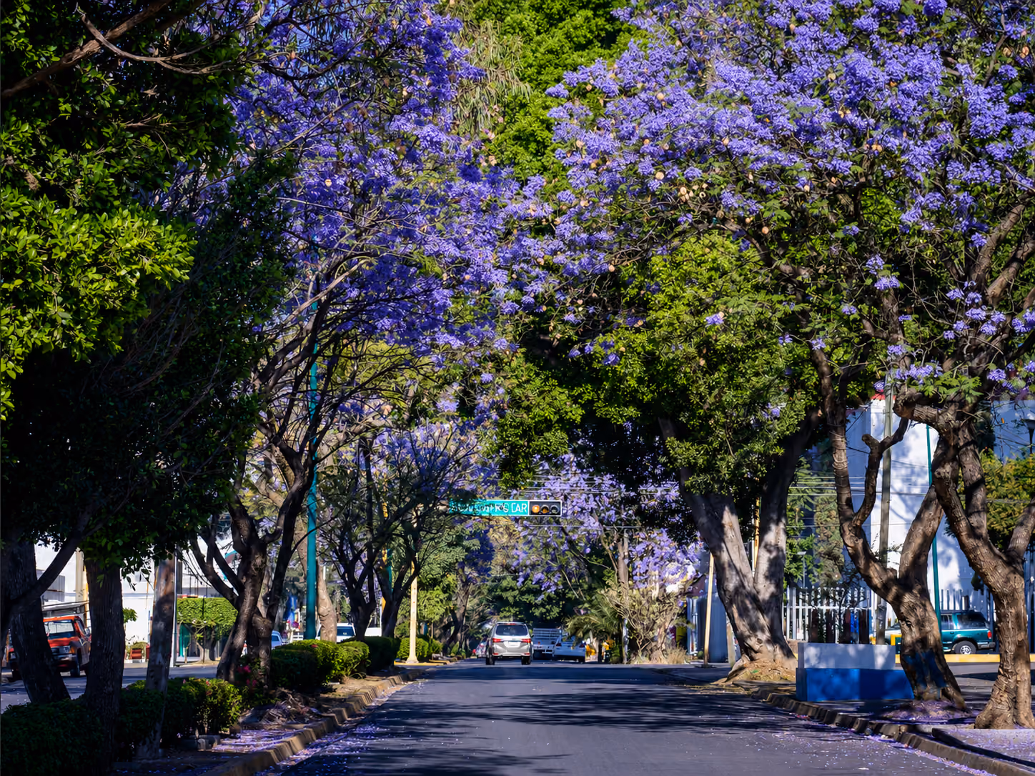 reforma neighborhood in oaxaca city