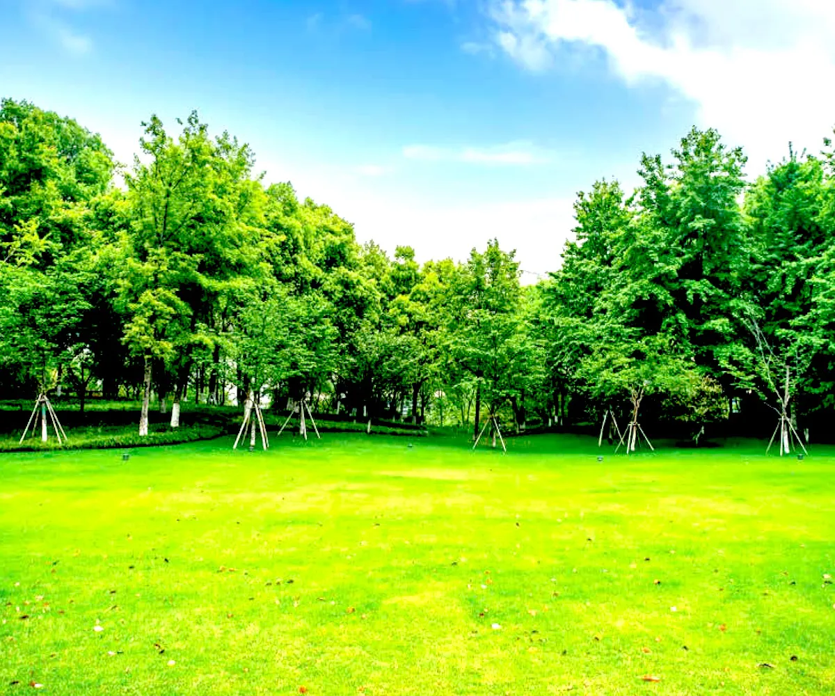 premia-ventures-apartments-amenities-park-img1