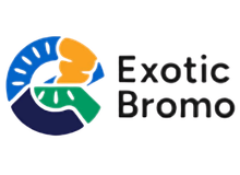 Logo Image
