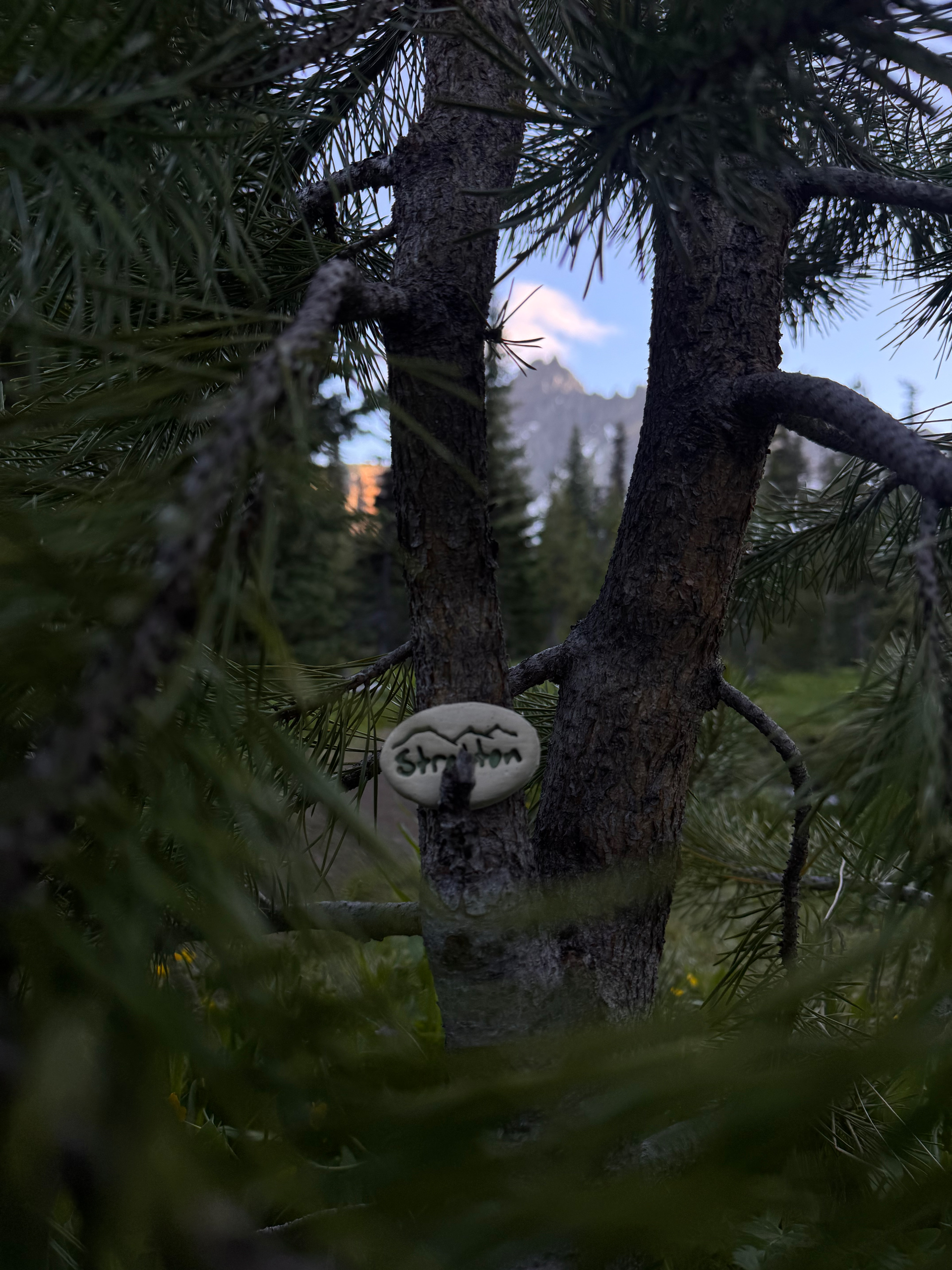 Canyon Creek Meadows