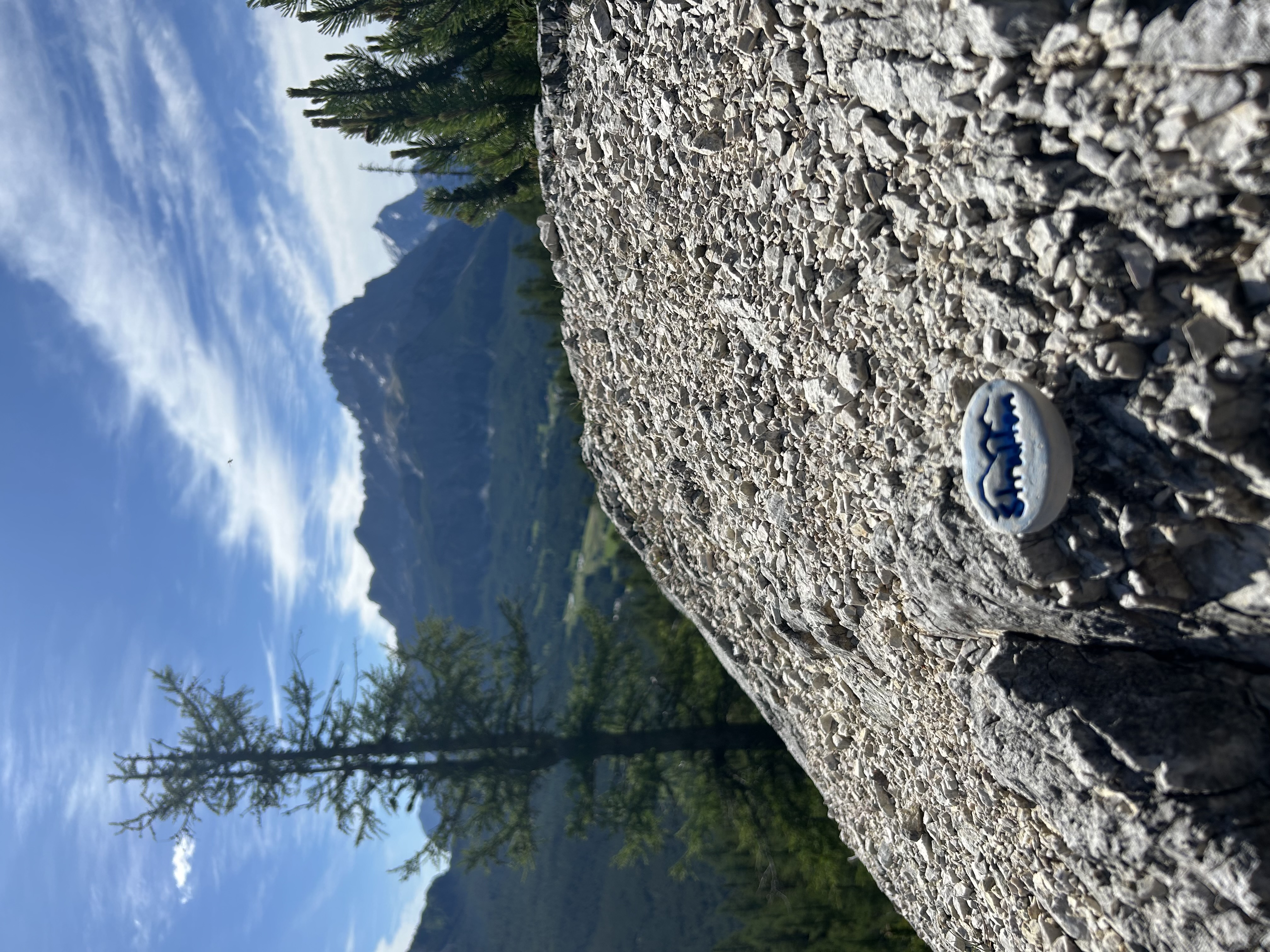 IMG_3057.jpeg
