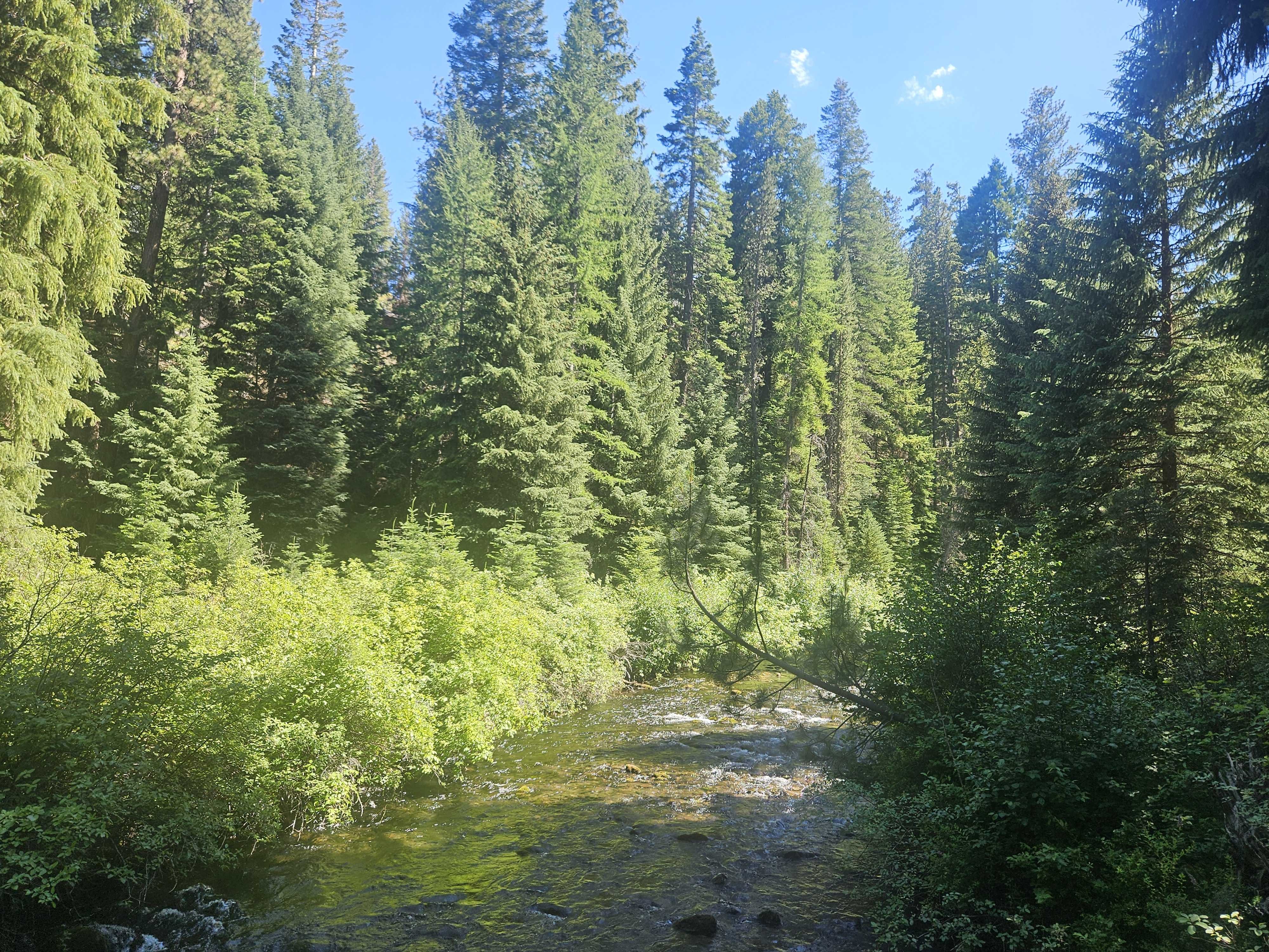 Tumalo Creek .jpg