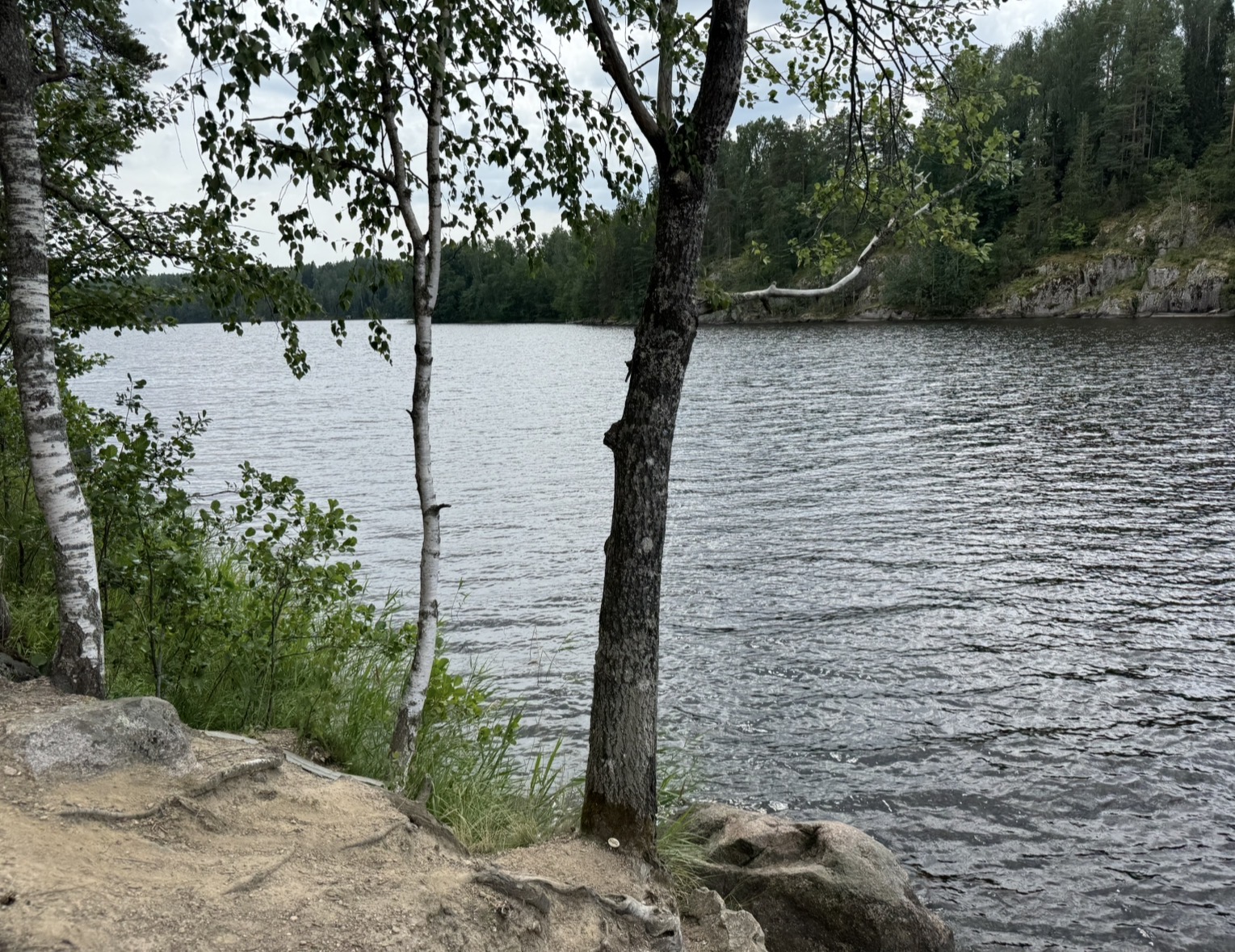 IMG_5838.jpeg