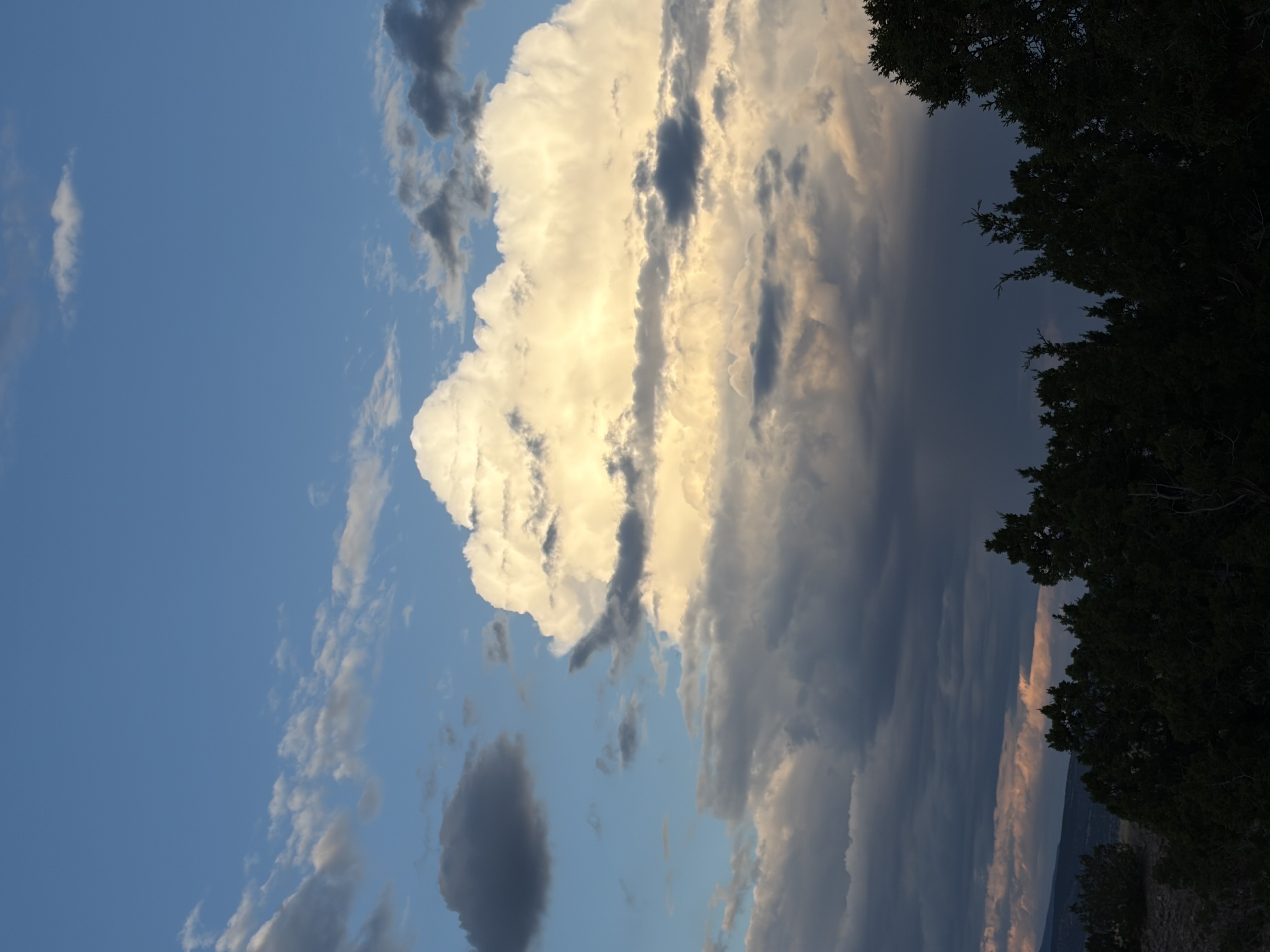 IMG_7552.jpeg