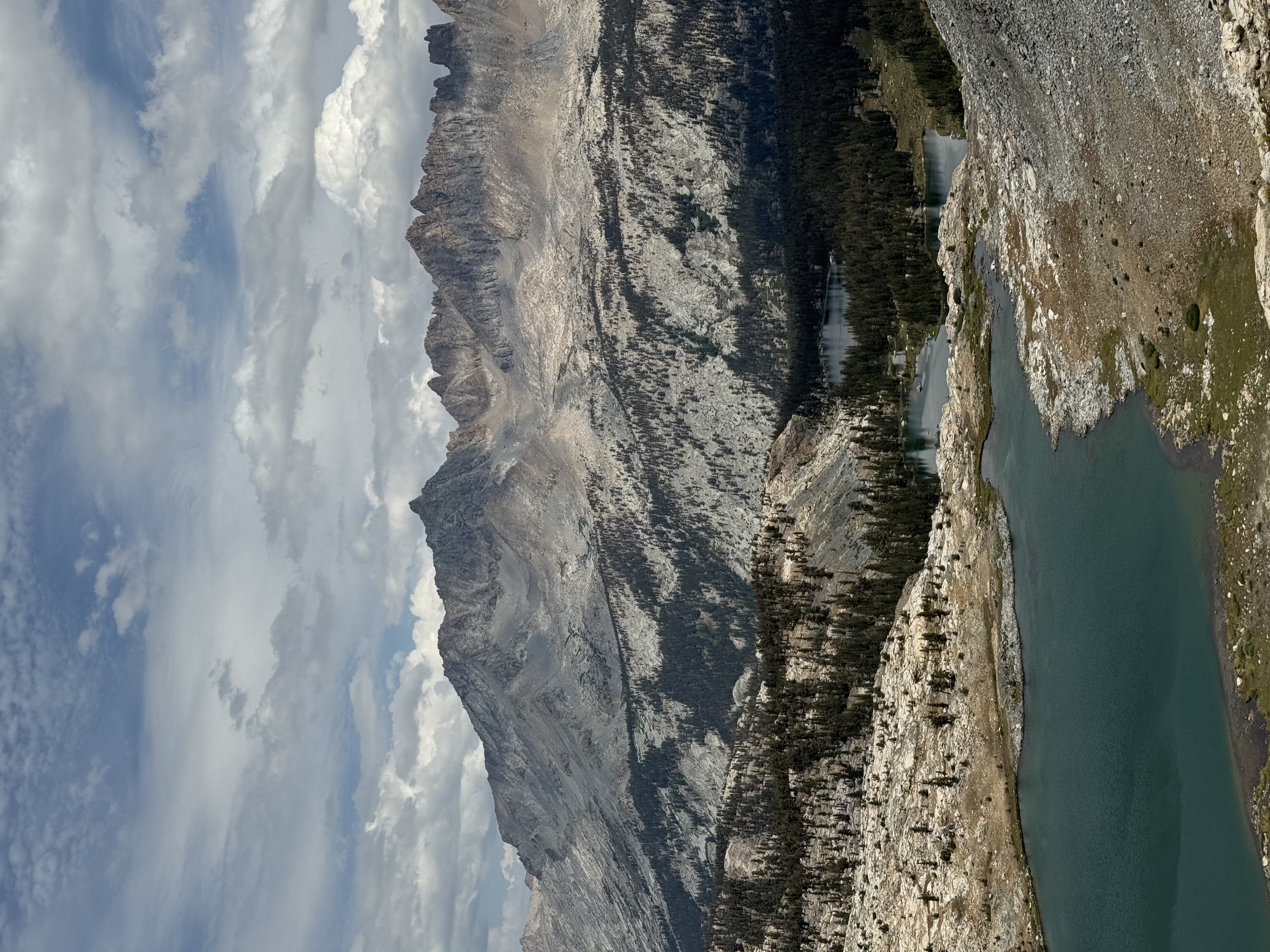 IMG_3391.jpeg