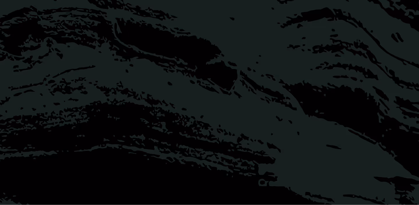 Close-up texture of dark black layered rock with rough surface patterns.