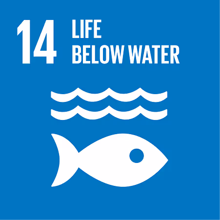 Blue icon with white fish and water waves labeled 14 Life Below Water for ocean conservation.