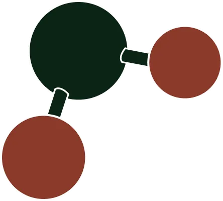 Simple molecular model with one large black and two smaller brown connected spheres.