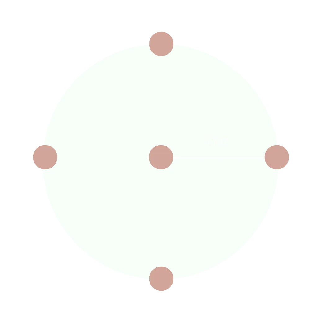 Green circle with five brown dots at center and four edges and a 5m radius line inside.