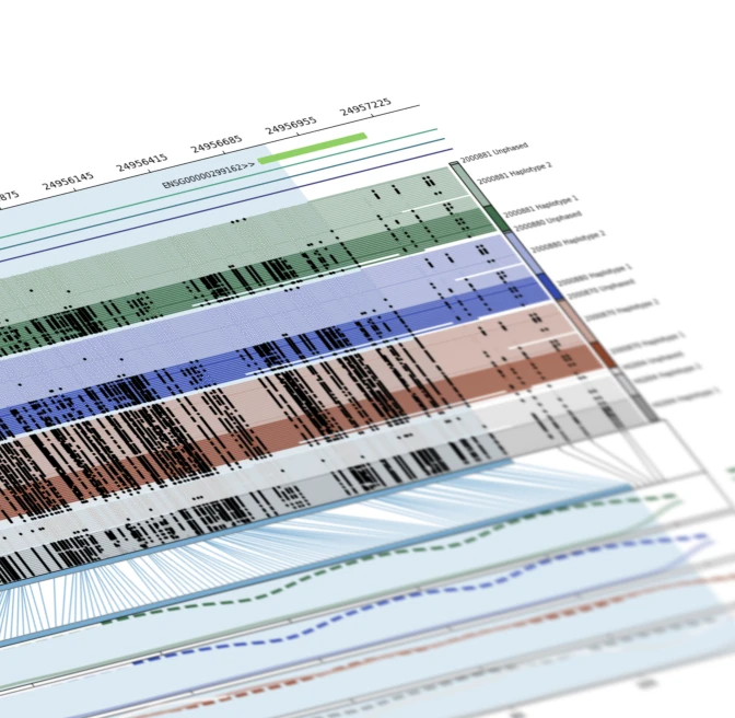 Lucid Genomics view of haplotype-phased long-read alignments across a genomic region