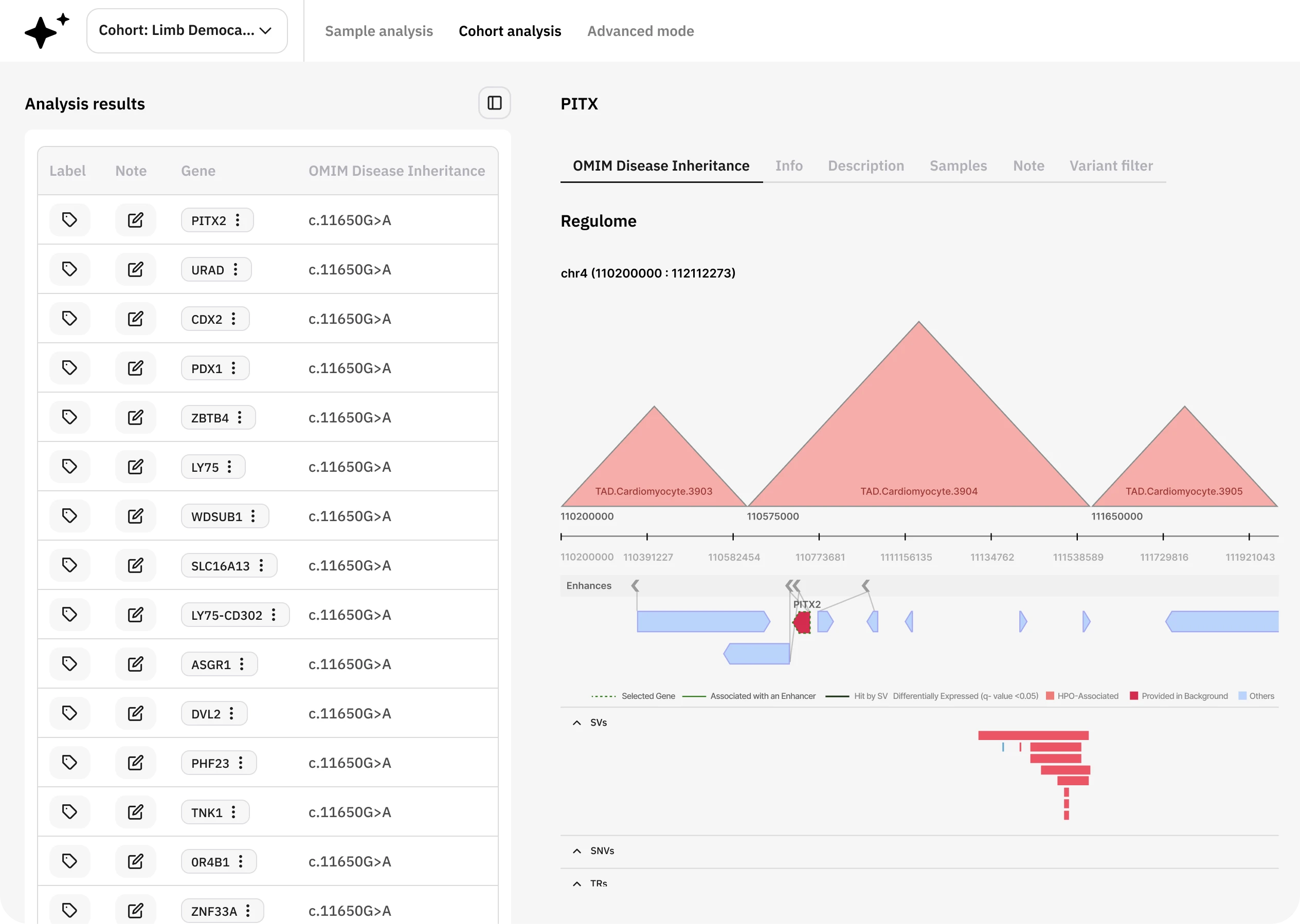 Lucid Genomics cohort analysis view showing a gene results list beside a Regulome track with topological domains, enhancers and structural variants for PITX2