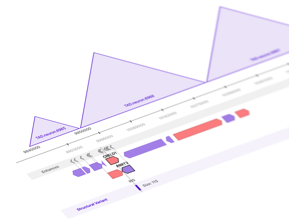 Lucid Genomics Regulome track view showing topological domains, enhancers, genes and a structural variant
