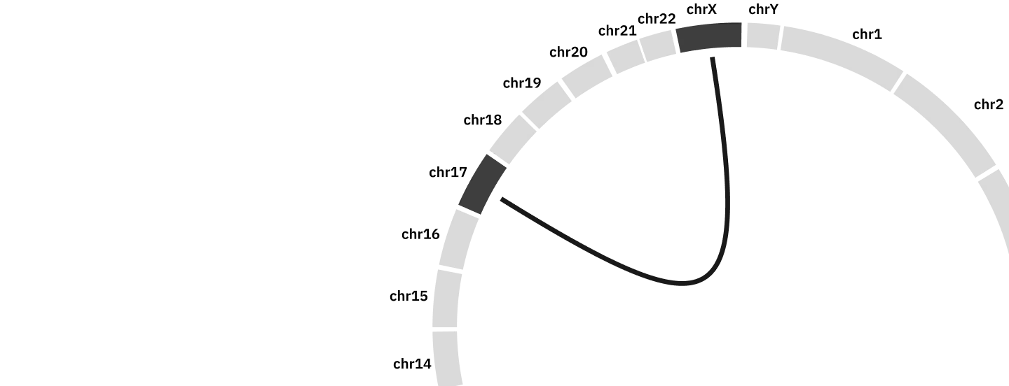 Circos-style chromosome plot showing a structural rearrangement linking chromosomes 17 and X