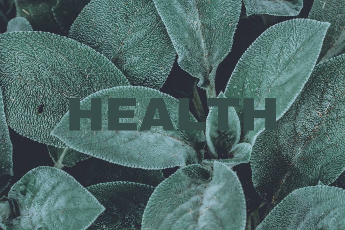 Nahaufnahme von grünen Blättern mit Tautropfen und dem Wort 'HEALTH' in großen, transparenten Buchstaben darüber