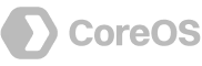 OpenAI wordmark logo in gray on transparent background.