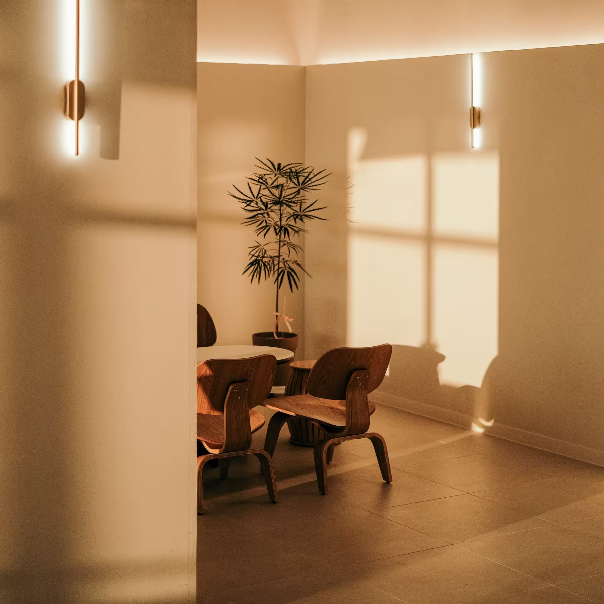 Sunlit corner with wooden chairs around a table and a potted plant casting shadows on walls.