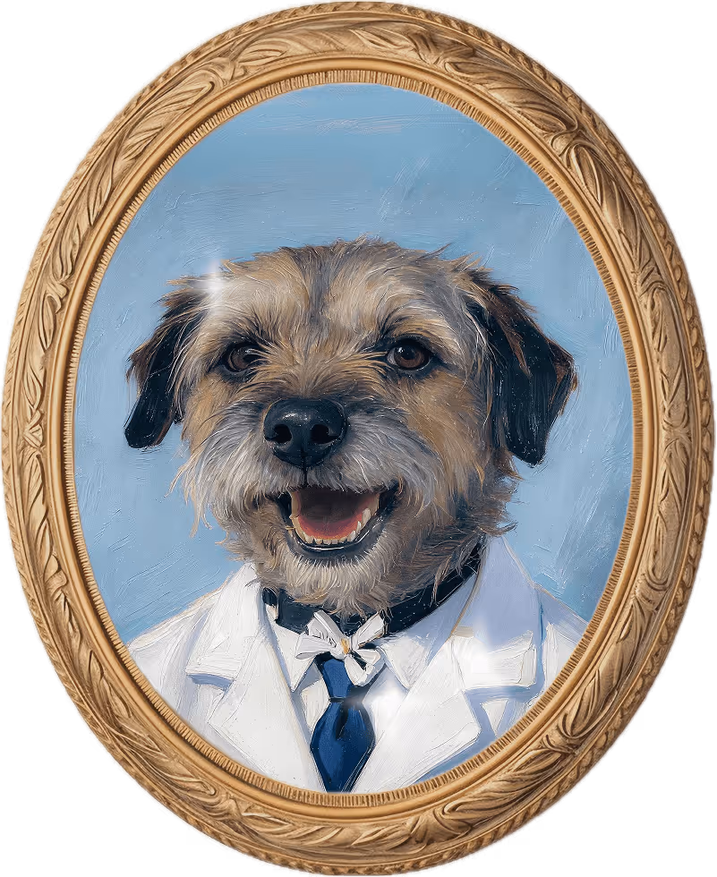 Professor Colin Skittles