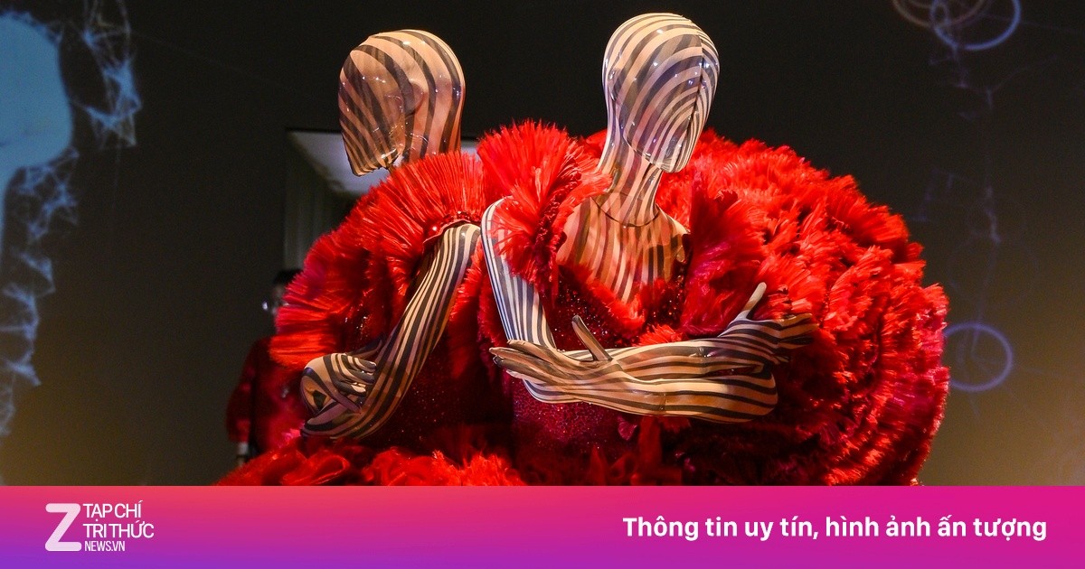 What's inside Cong Tri's international-scale exhibition?