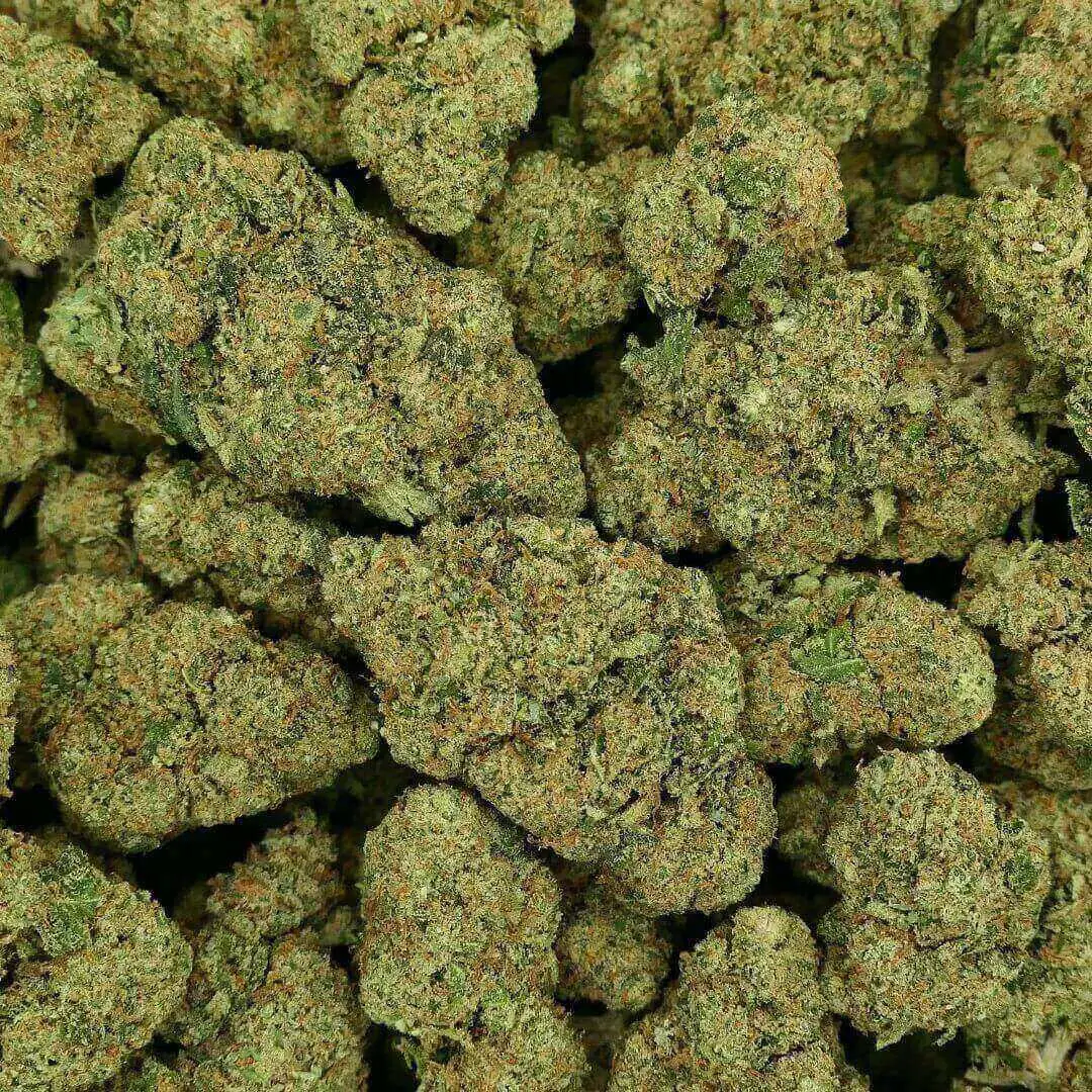 Flores de cannabis seleccionadas del Club Guru