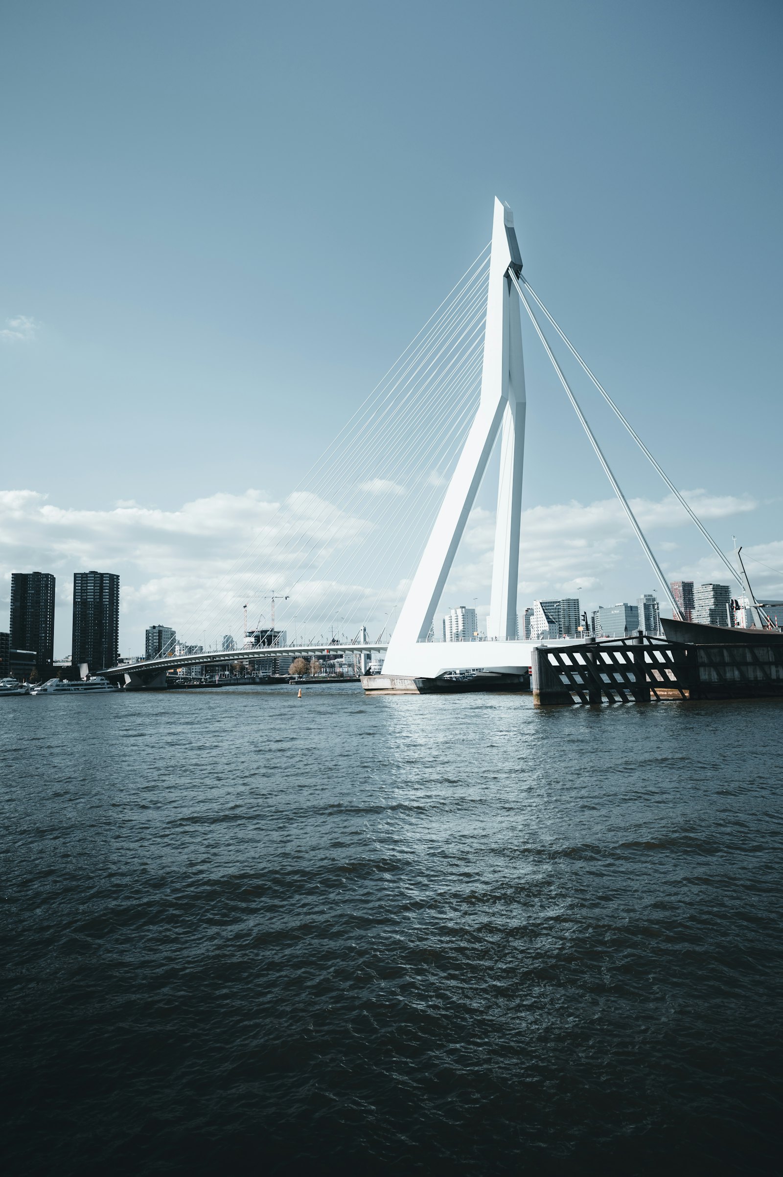 Erasmus Bridge in Rotterdam