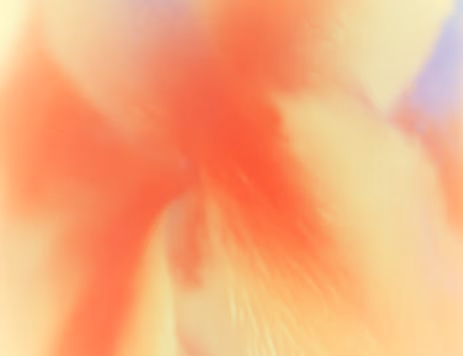 Case bg 3
