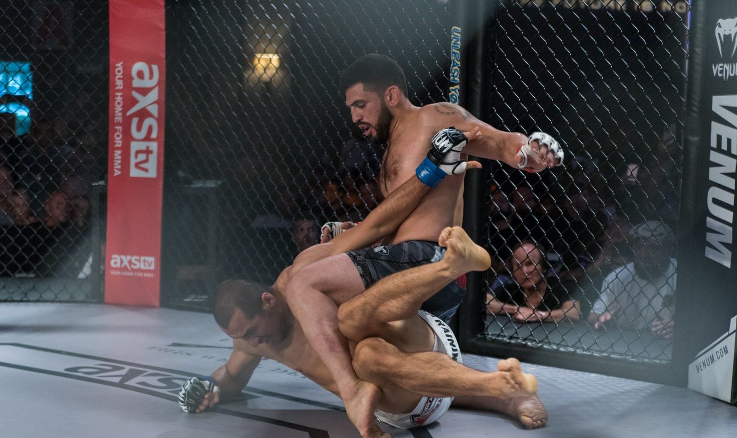 KD MMA Glendale flagship main mat area