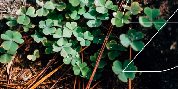 What St. Patrick’s Day Cannabis Sales Can Teach Us About 4/20