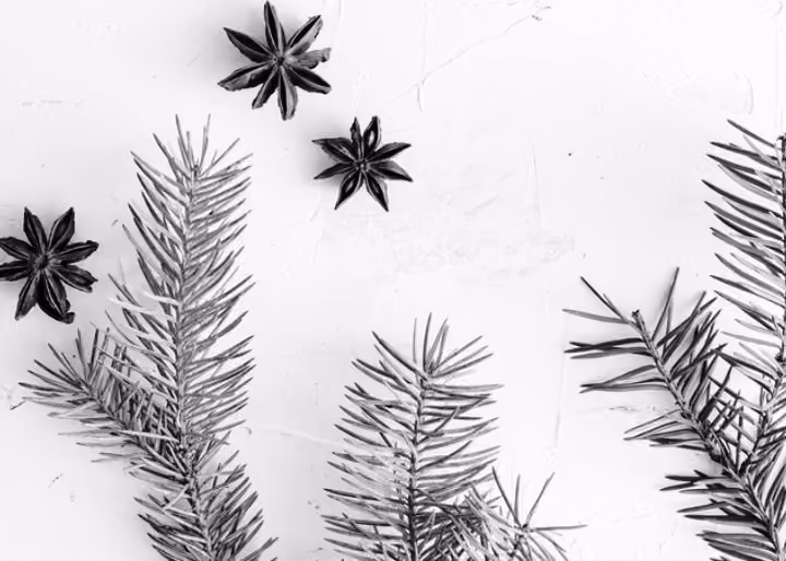 Beyond Green Wednesday: Why December is a Growing Opportunity for Cannabis Businesses