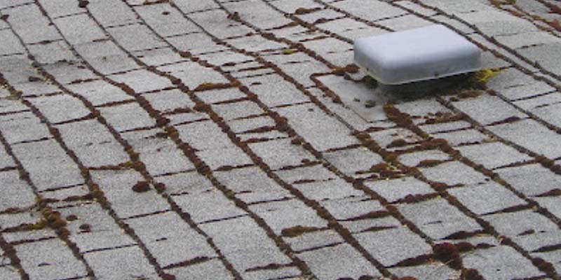 Mold forming in a roof of a Detroit, Michigan home due to poor ventilation