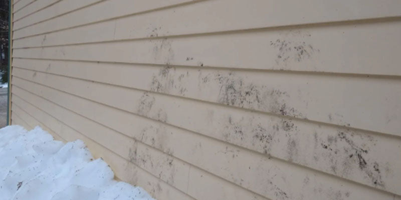 Mildew in vinyl siding during Avon, Ohio winter