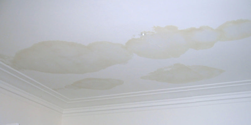 Water damage on a ceiling with visible mold growth.