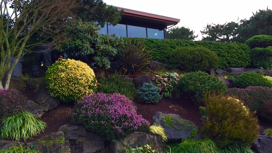 Microsoft CEO Satya Nadella's Clyde Hill home hits the market for $3.5M