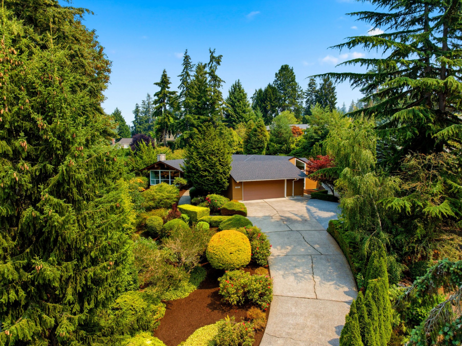Stylish Clyde Hill Mid-Century Rambler on Expansive Lot
