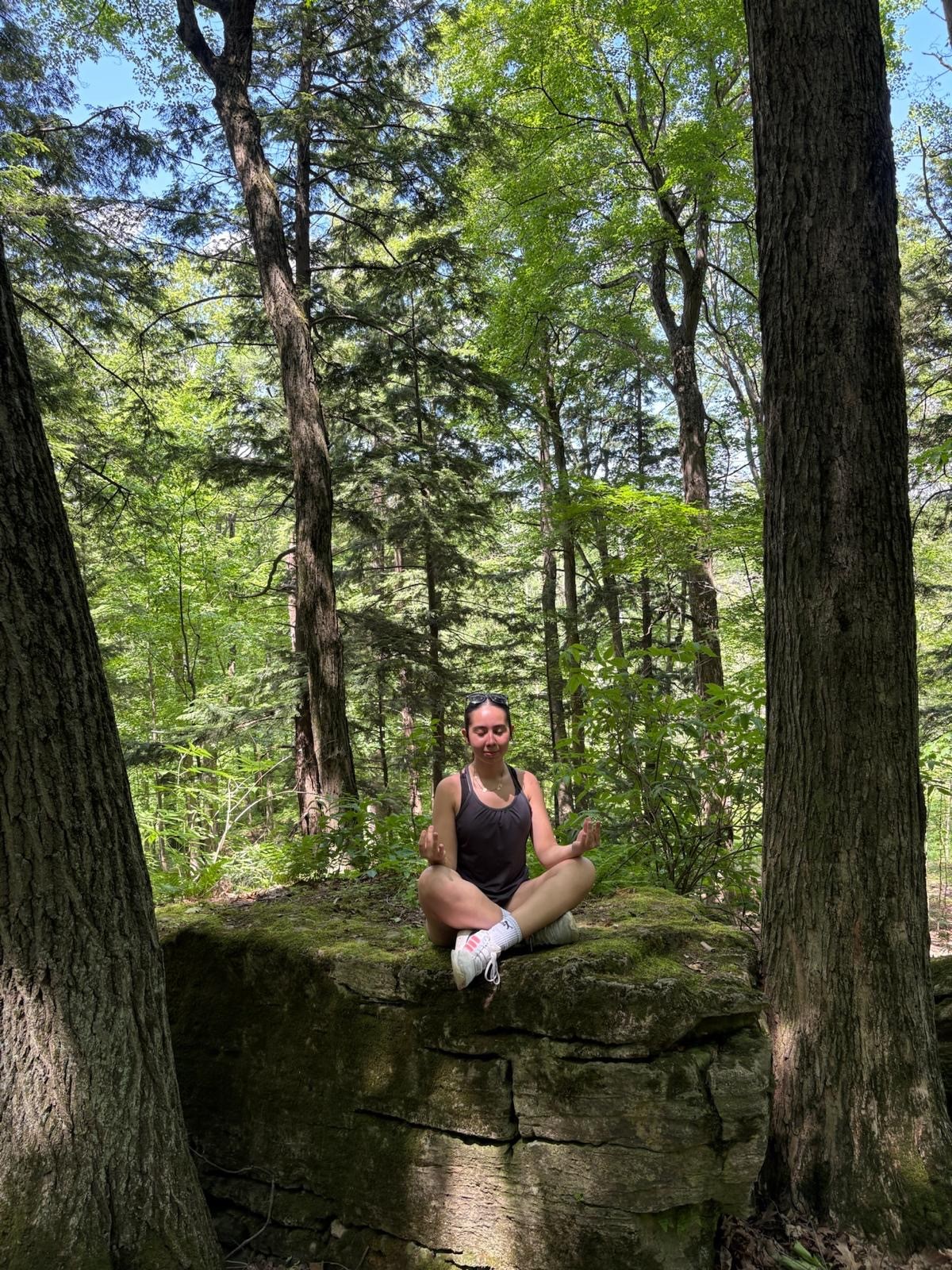 A person sitting in stillness on a moss-covered boulder in a sunlit old-growth forest.