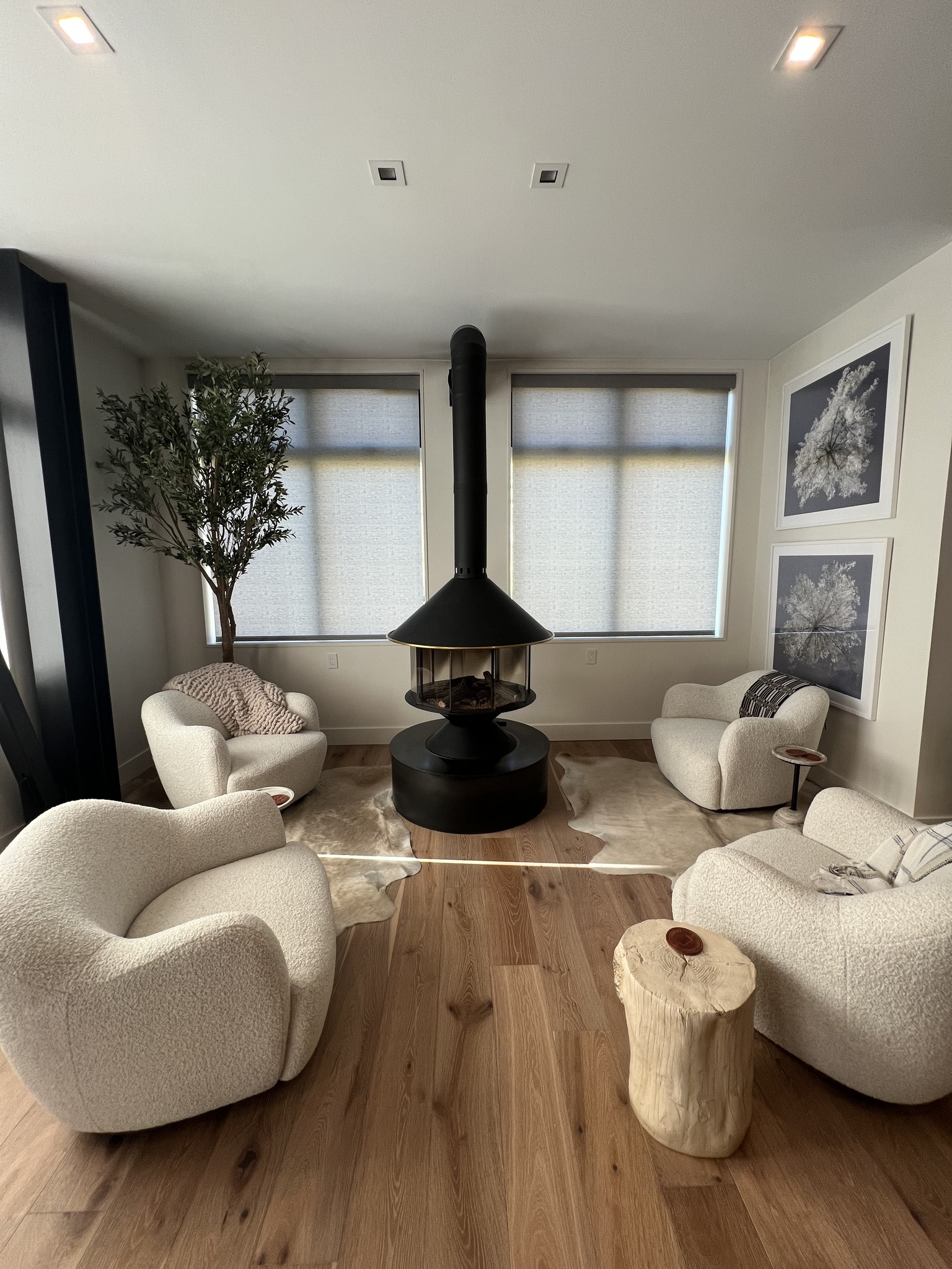 Living room with custom shades