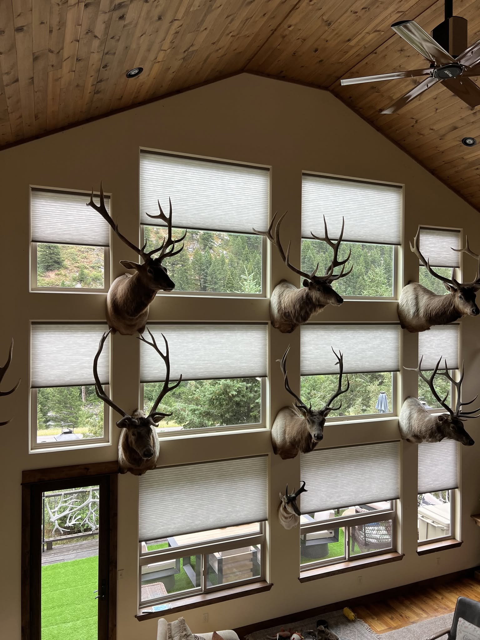 Interior Photo 1