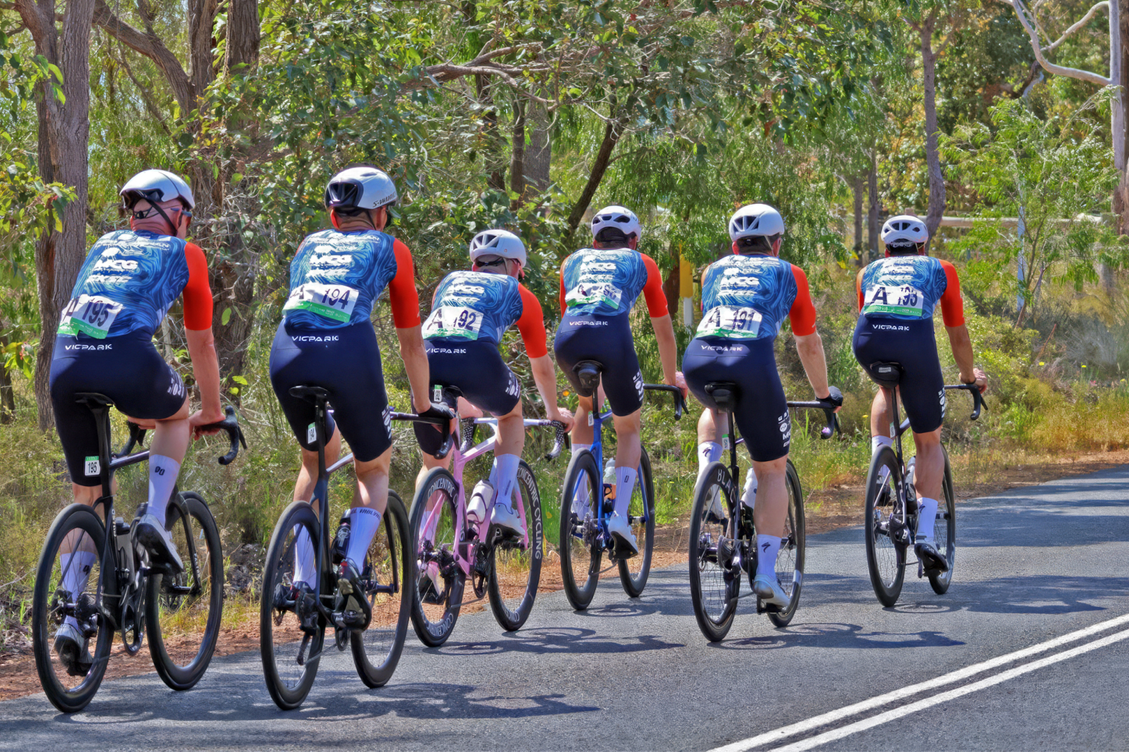 Six cyclists in colorful gear riding racing bikes on a tree-lined road in sunlight.