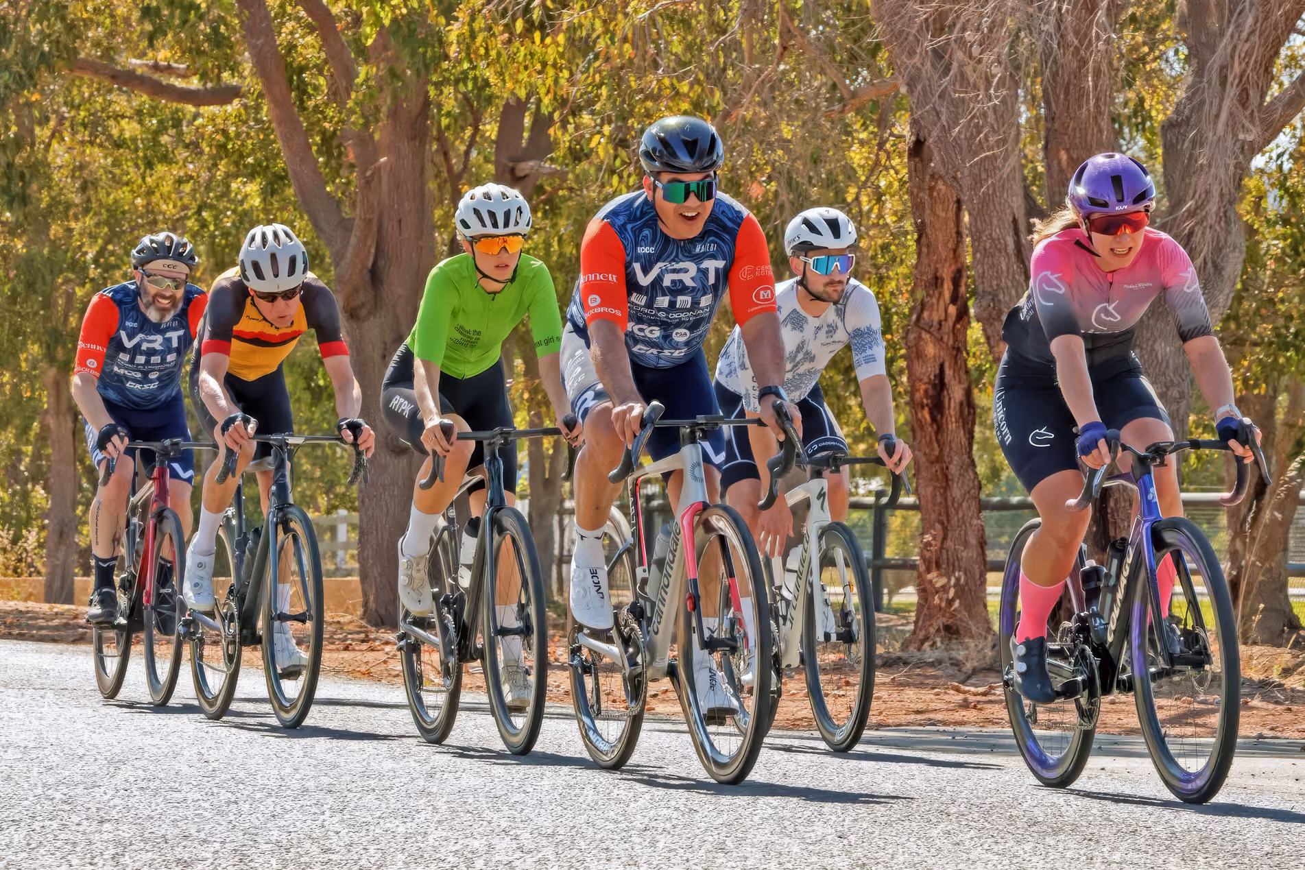 Six cyclists in colorful gear riding road bikes closely on a sunlit tree-lined pavement.
